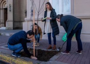 Pablo Petrecca plantando un árbol 