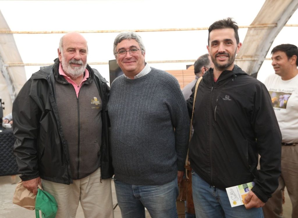produccion-apicola-1