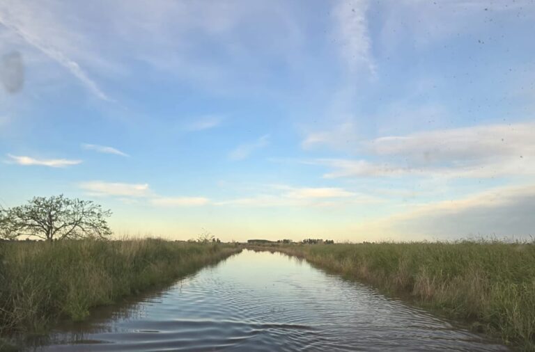 inundaciones-bragado-olascoaga-bichos-de-campo-e1760357489653-768x506